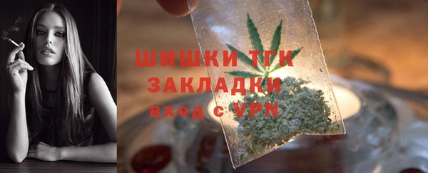 индика Нефтегорск