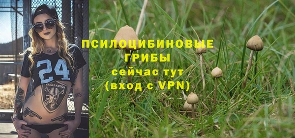 дурь Наволоки