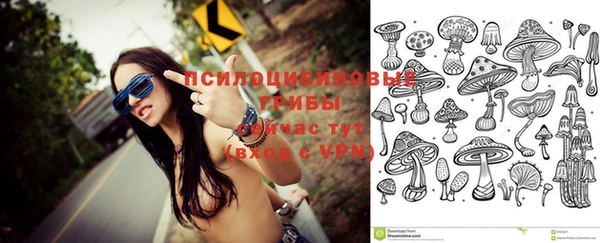 индика Нефтегорск
