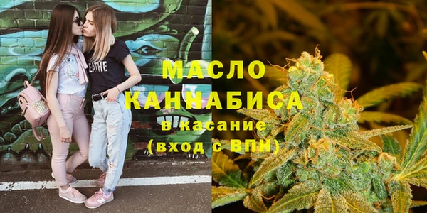 индика Нефтегорск