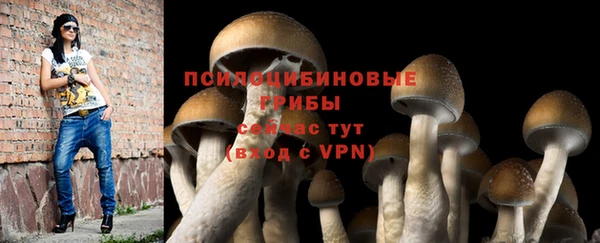 прущая мука Гусь-Хрустальный