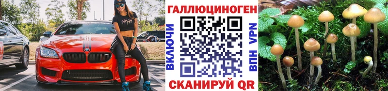 Псилоцибиновые грибы Psilocybine cubensis  Пласт 